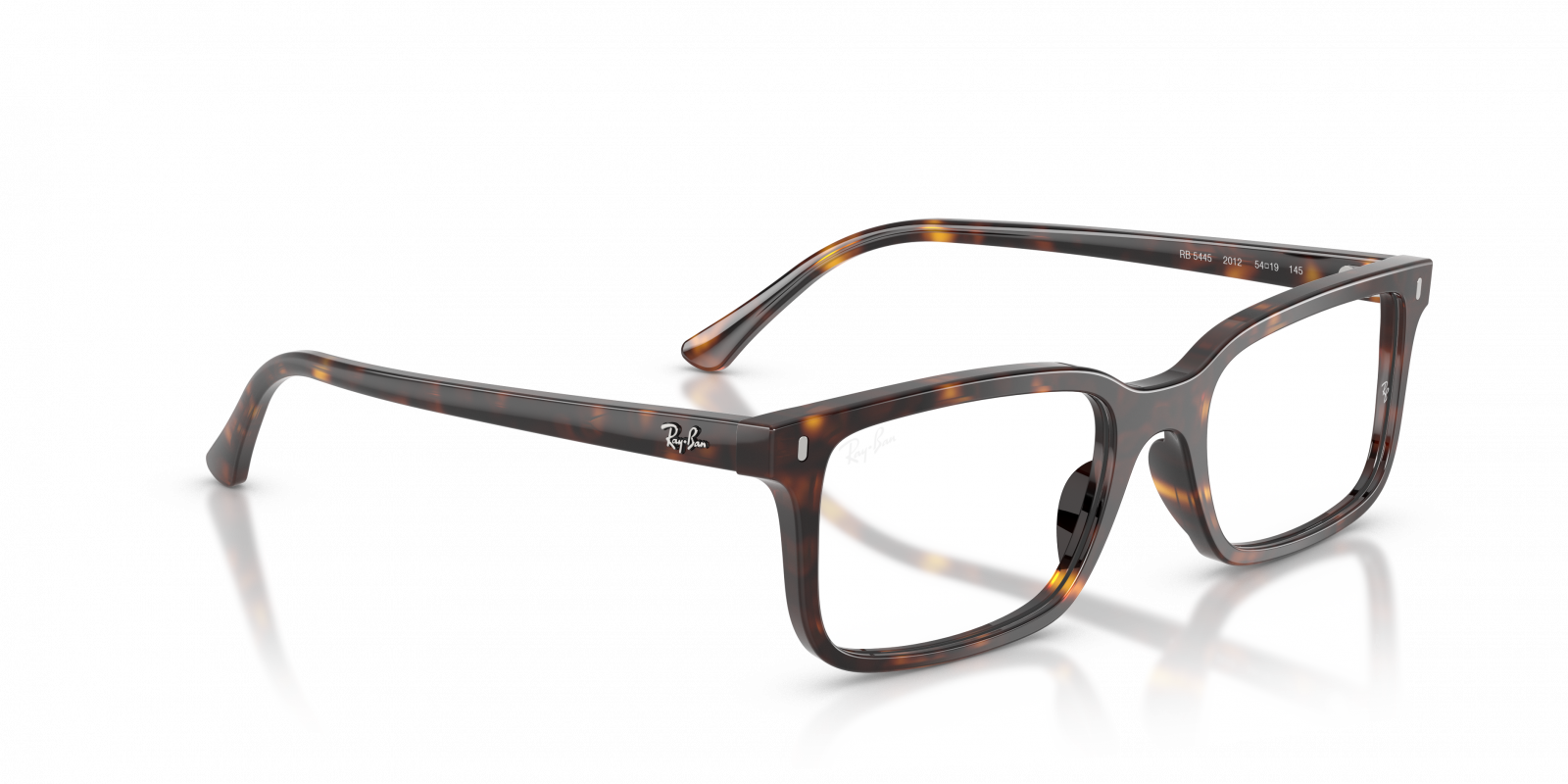 Ray Ban RX5445 2012  